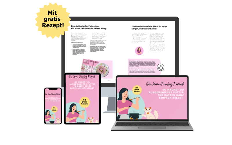 Bild Home Feeding Katzen