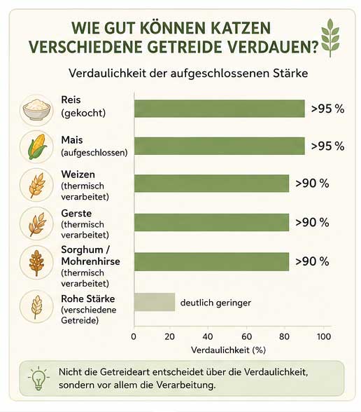 Grafik "Wie gut können Katzen Getreide verdauen"